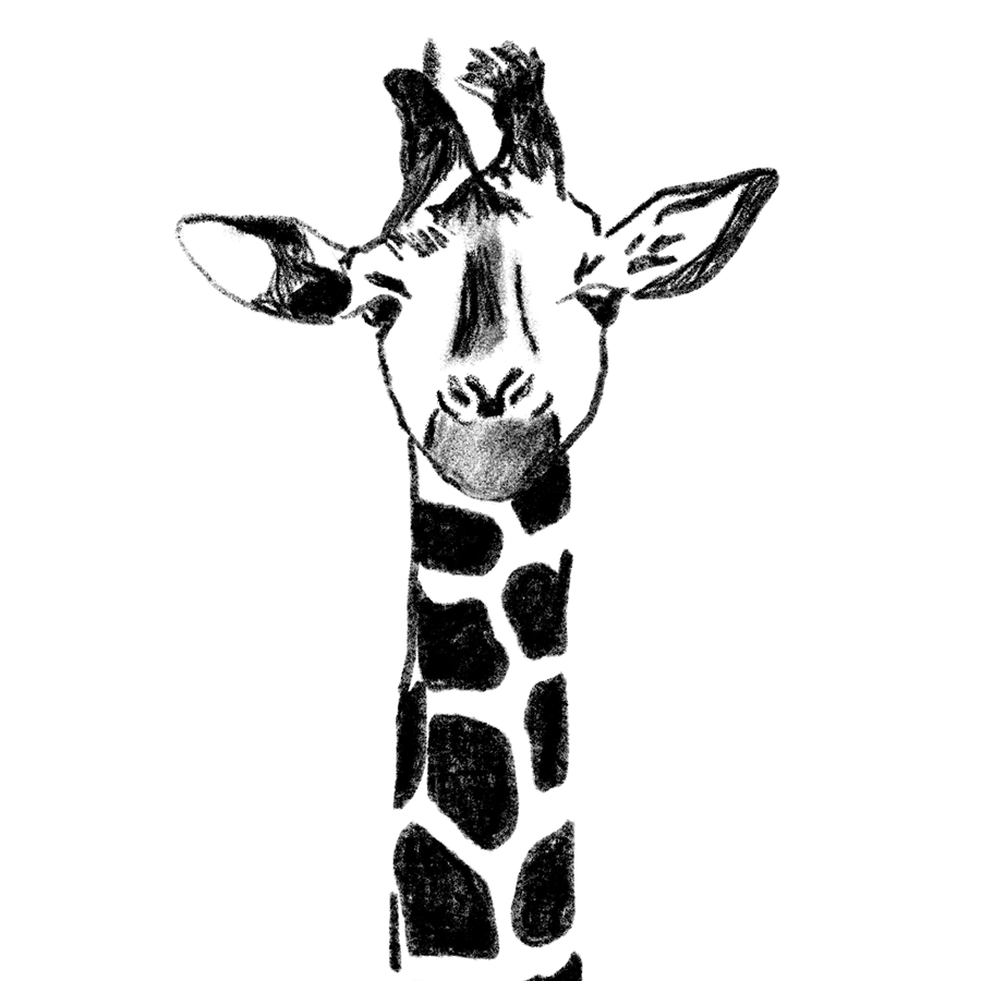 Giraffe-WB-900×900-BN