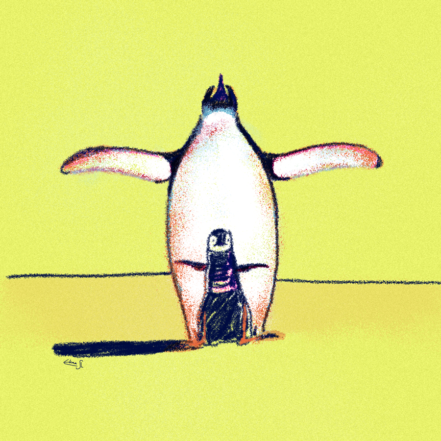 Penguins-Cuadrado_900x900